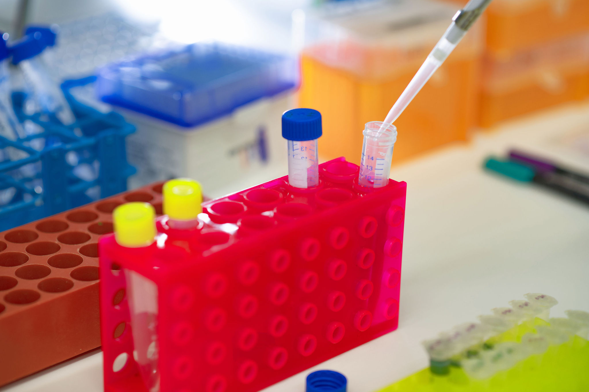 Infectious diseases and infection prevention research